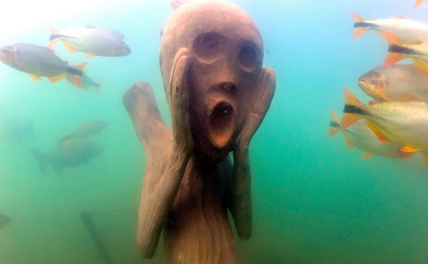 Museu Subaquático de Bonito (Mergulho)