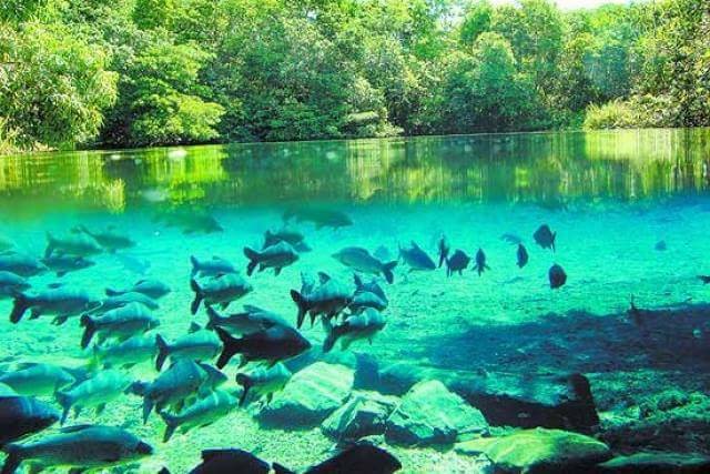 Bonito MS | Agência de Turismo Bonito Eco Tour