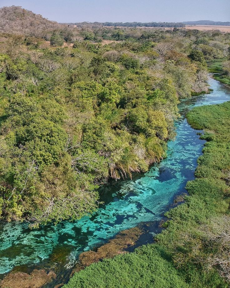 Explorando o Rio Sucuri de Barco: Uma Experiência Inesquecível
