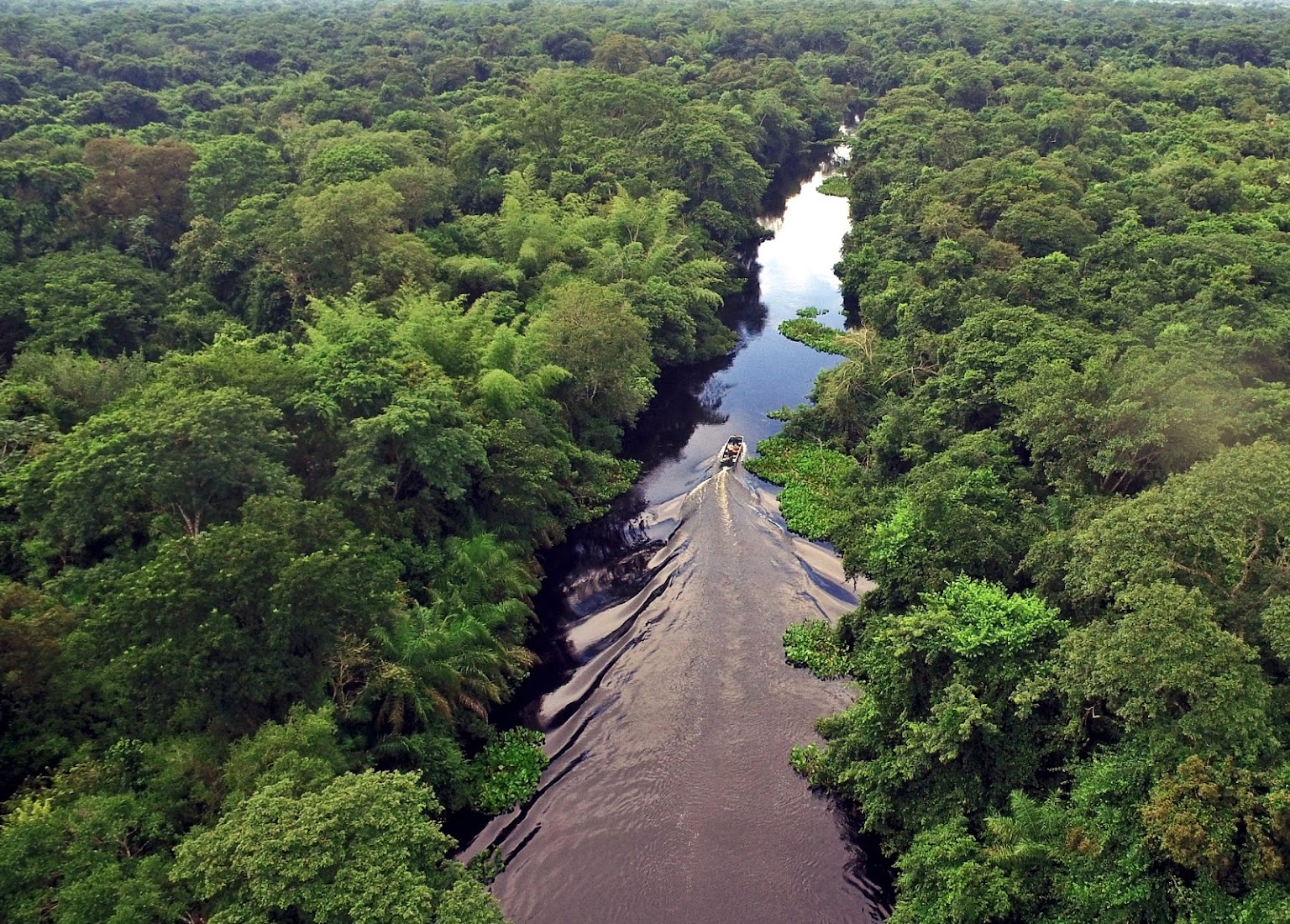 Projeto Salobra - Experiência Única no Pantanal Sul-Mato-Grossense
