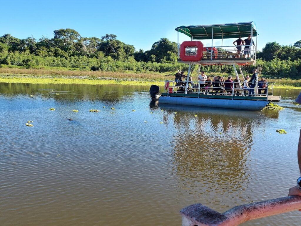 Como chegar no Pantanal