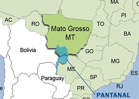 Pantanal Mapa