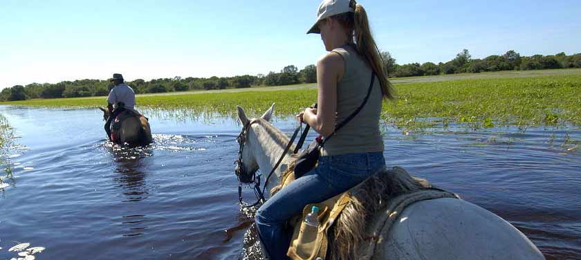 Passeios no Pantanal: 8 Lugares Que Vale a Pena Incluir no Roteiro