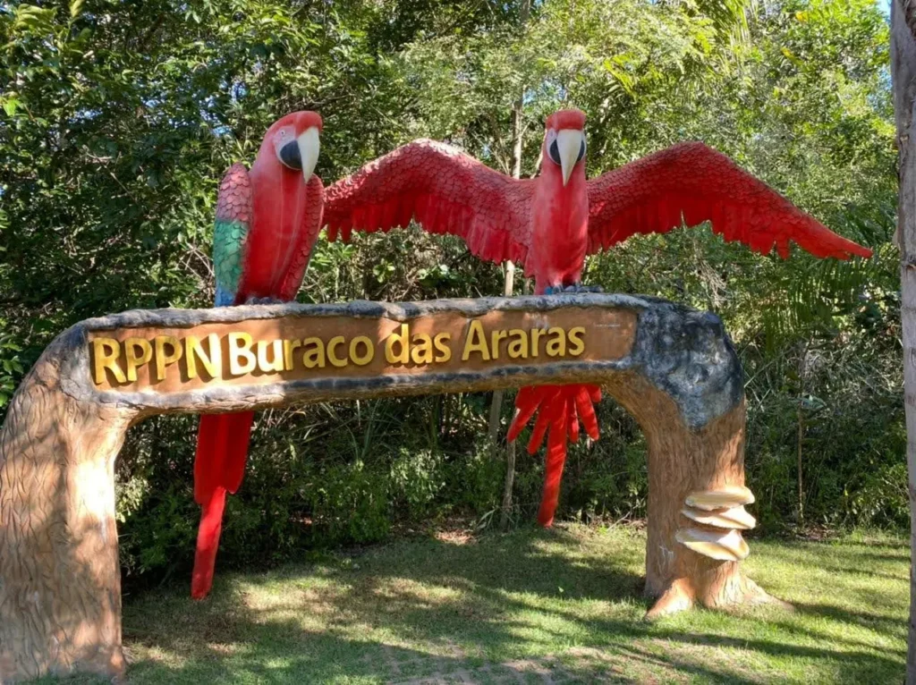 Buraco das Araras