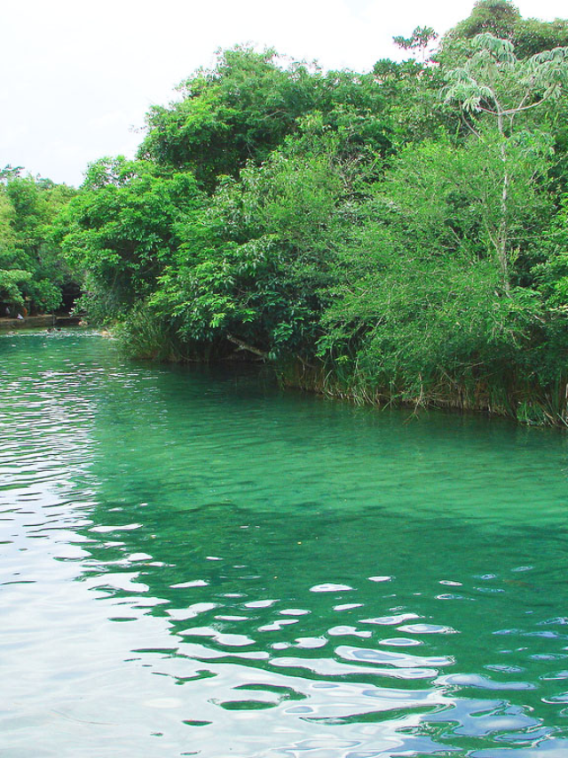 Flutuação Parque Ecológico Rio Formoso