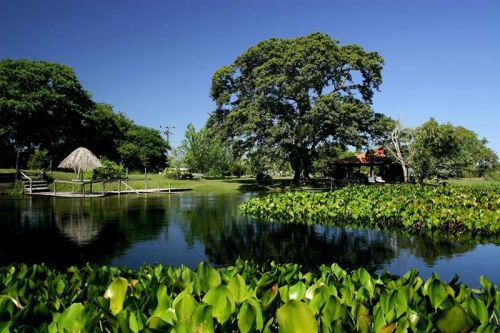 Hotel Pousada Refúgio da Ilha – Pantanal MS