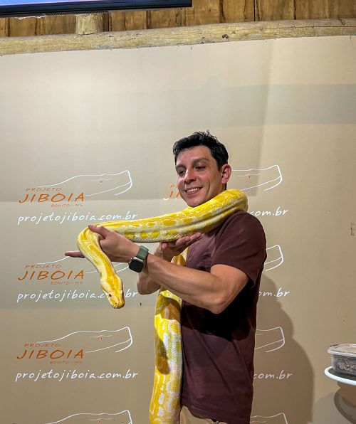 projeto jiboia