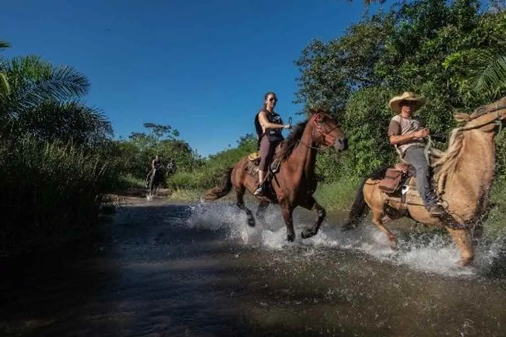 Cavalgada Parque Ecológico Rio Formoso