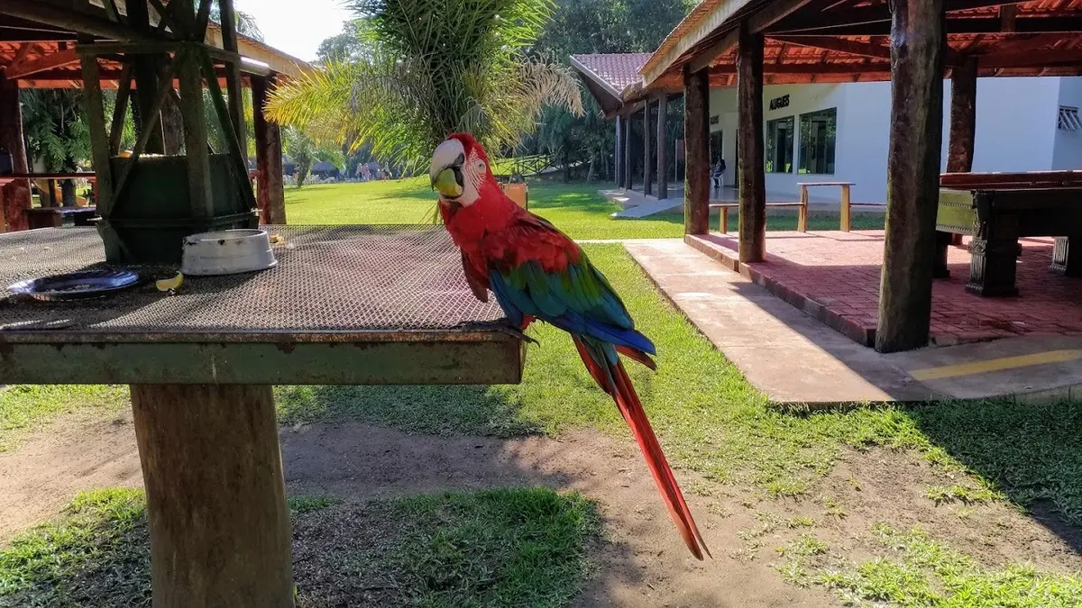 Balneário do Sol Balneários em Bonito Sul Agência de Turismo Bonito Eco Tour