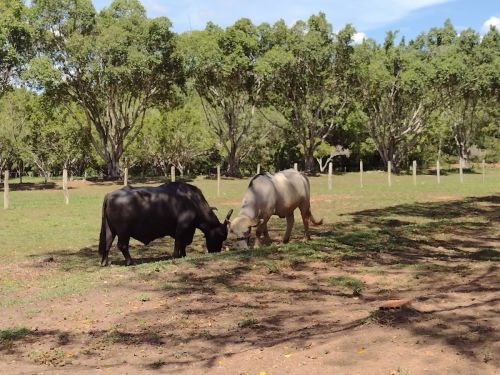 O que fazer em Balneário do Sol Bonito O que fazer em Balneário do Sol Bonito