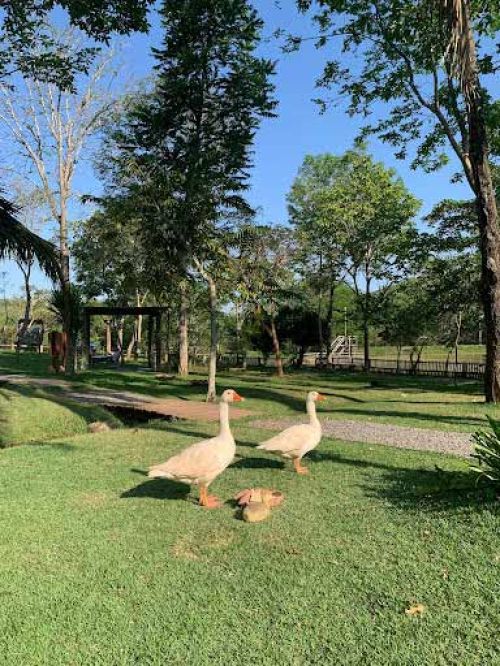 Estância Mimosa Fazenda Estância Mimosa Fazenda