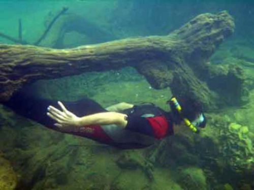 Rio Formoso Bonito MS | Flutuação no Rio Formoso Rio Formoso Bonito MS | Flutuação no Rio Formoso