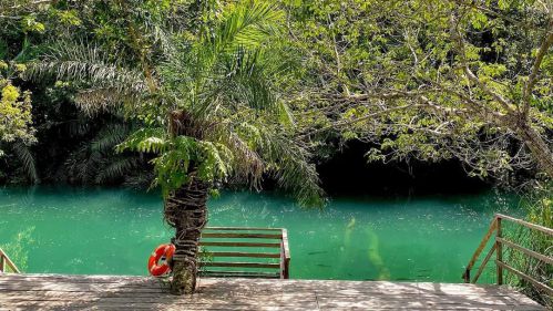 Balneário Bosque Das Águas Bonito MS Balneário Bosque Das Águas Bonito MS