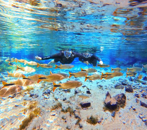 nascente azul
