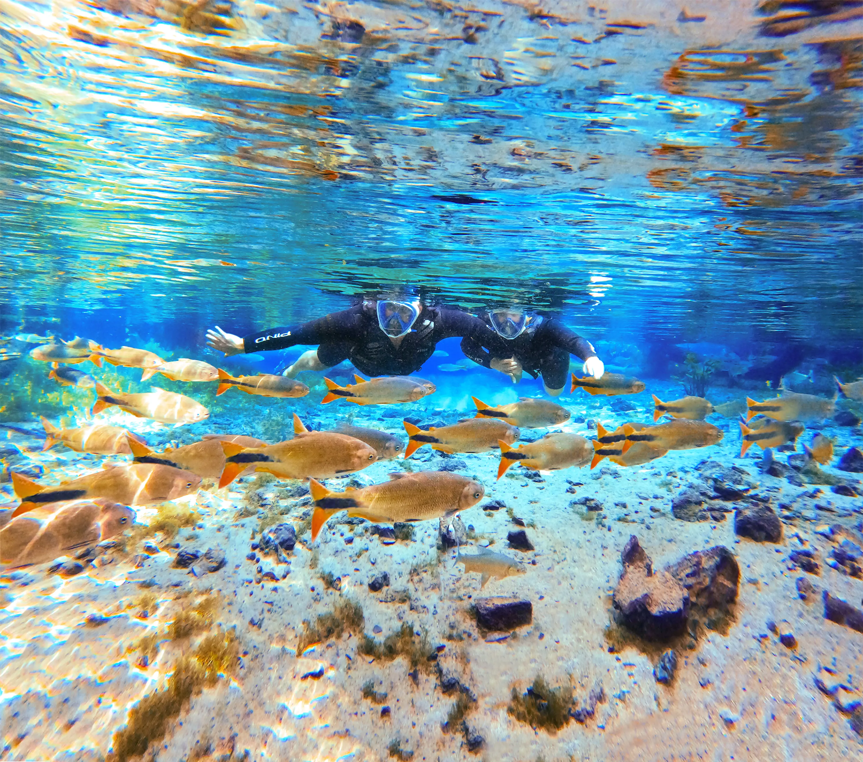 Flutuação Nascente Azul