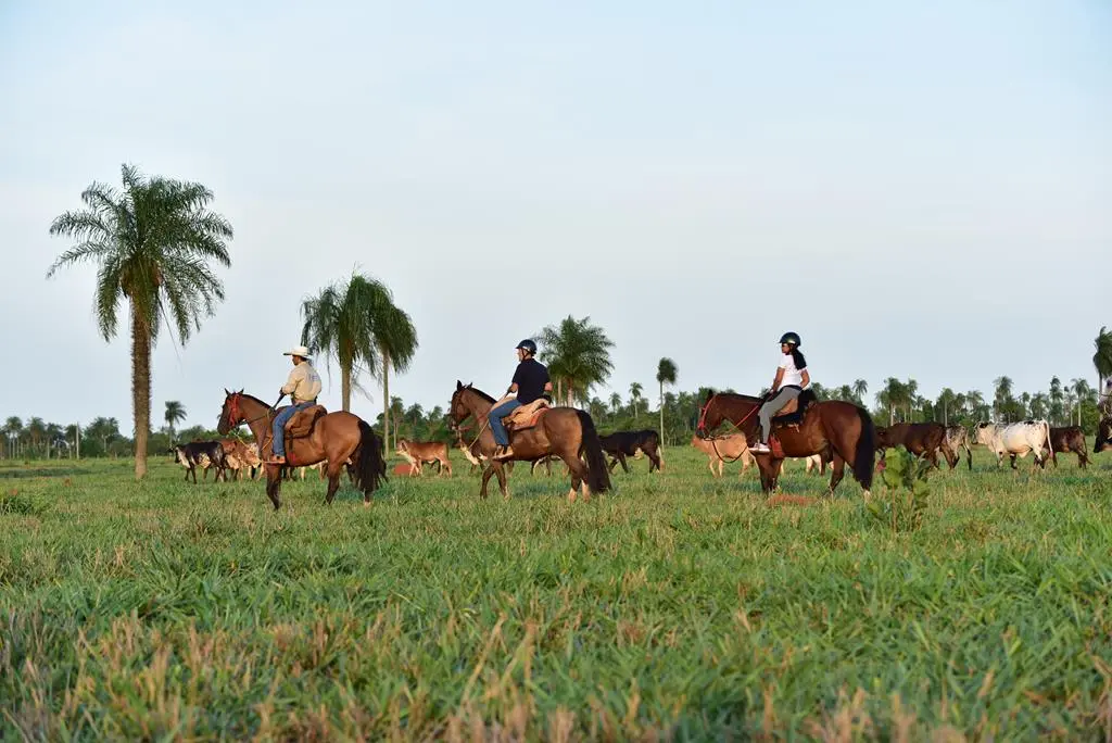 Cavalgada Pantanal - Eco Adventures Travel