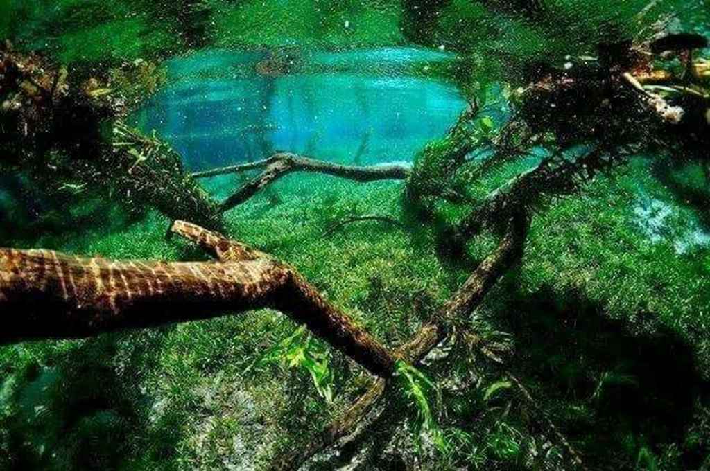 Córrego Azul - Flutuação em Bonito MS