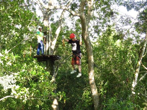 Arvorismo Passeios de Aventura em Bonito MS Agência de Turismo Bonito Eco Tour Arvorismo Passeios de Aventura em Bonito MS Agência de Turismo Bonito Eco Tour