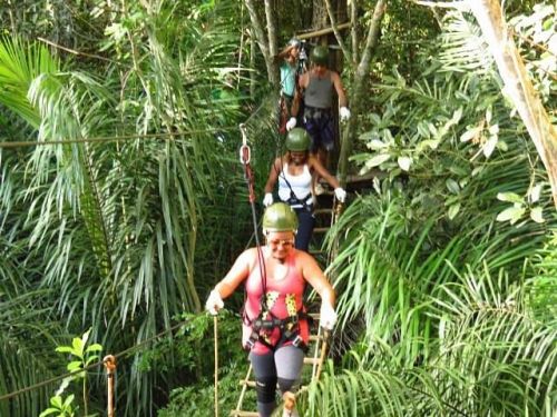 Arvorismo Passeios em Bonito MS Agência de Turismo Bonito Eco Tour Arvorismo Passeios em Bonito MS Agência de Turismo Bonito Eco Tour