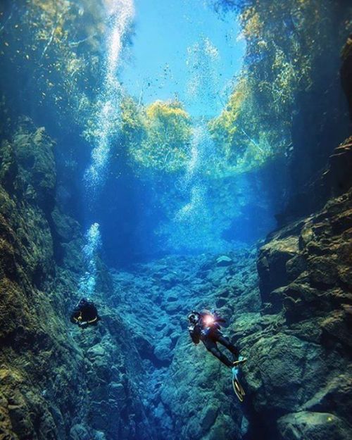 Mergulho na Lagoa Misteriosa Mergulho na Lagoa Misteriosa