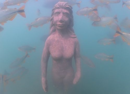 Mergulho no Museu Subaquático de Bonito Mergulho no Museu Subaquático de Bonito