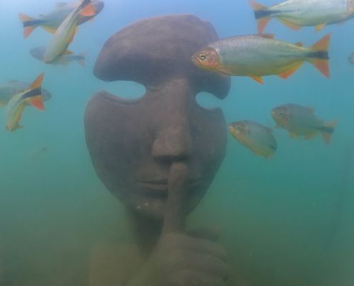 Mergulho no Museu Subaquático de Bonito Mergulho no Museu Subaquático de Bonito