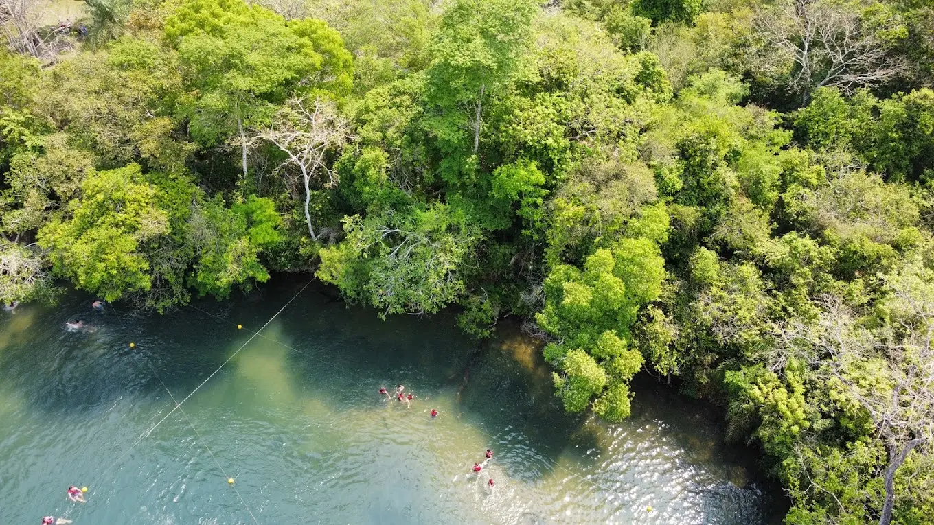 JARDIM ECOPARK Valores