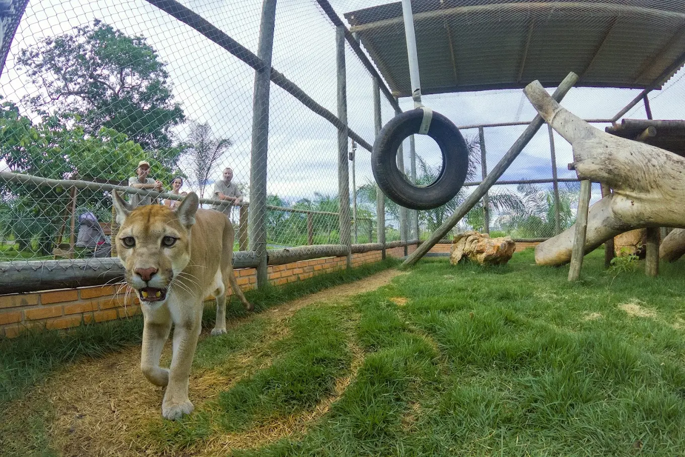 Como é o Passeio no Bio Park Bonito