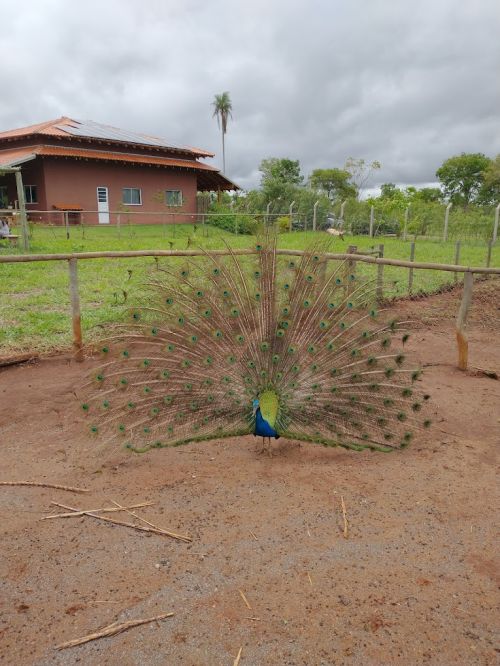 Bio Park Bonito valor da Entrada Bio Park Bonito valor da Entrada