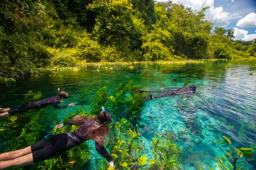 flutuacao rio azul