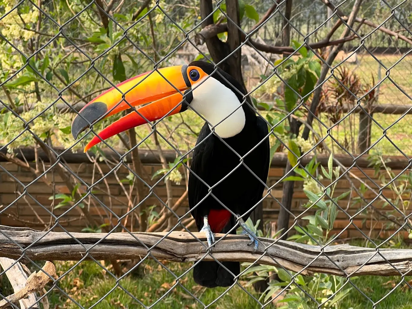 Bio Park Bonito