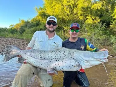 Melhores Pousadas Pesca Pantanal