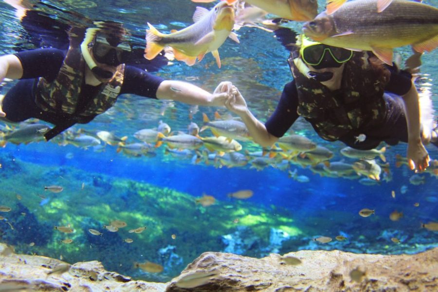 Aquário Natural: Uma Experiência Única de Flutuação em Bonito, MS
