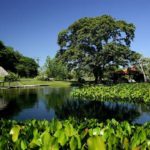 Hotel Pousada Refúgio da Ilha – Pantanal MS