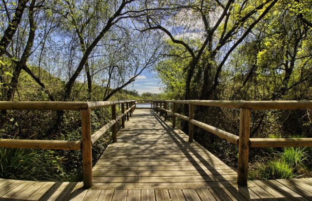 A Importancia Do Ecoturismo Para As Regioes E Para A Sociedade e1604689440608