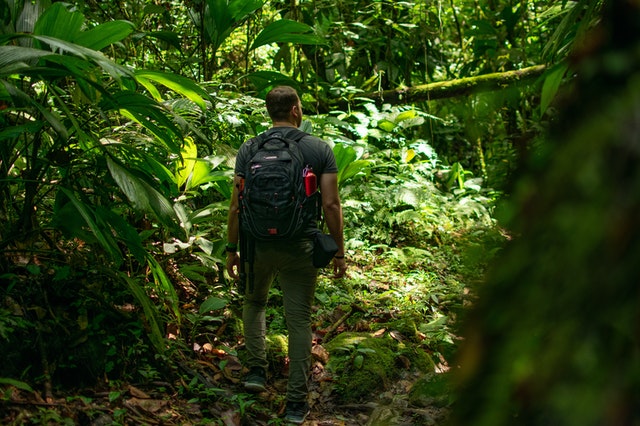 Ecoturismo No Brasil Mais Diversao Para Voce E Sua Familia