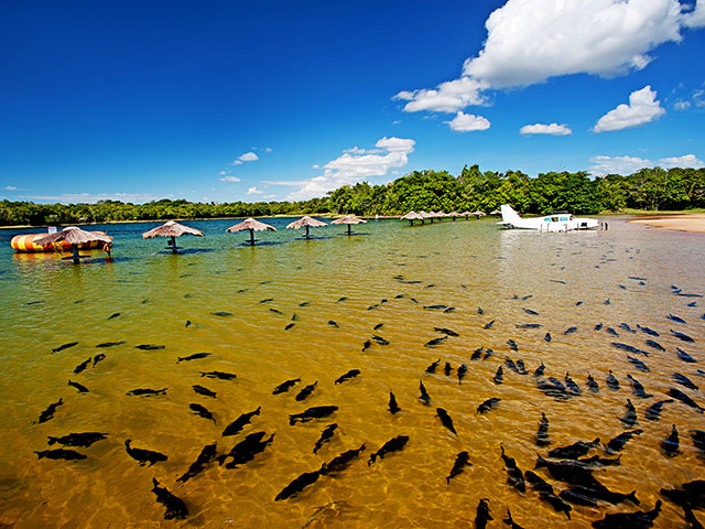 praia figueira2